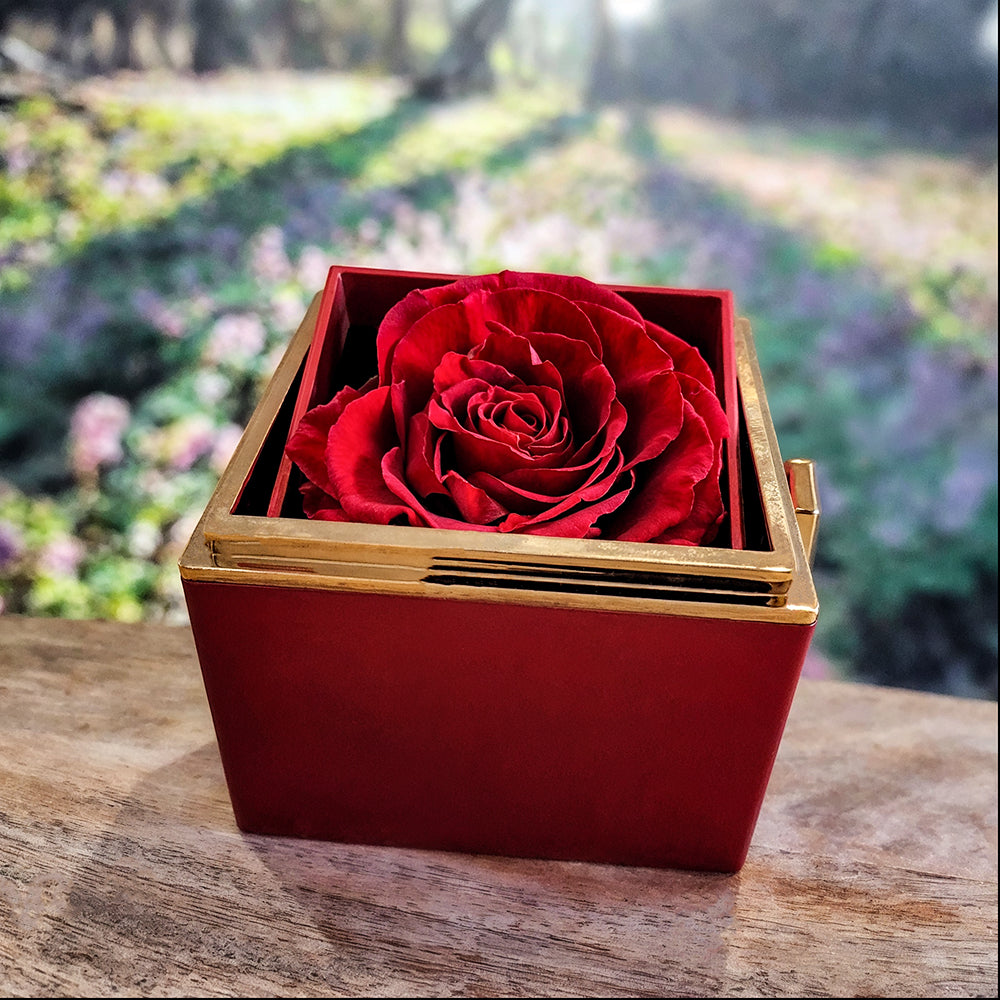 "To My Beautiful Mom" Message Card with Rotating Love Knot Necklace – The Perfect Mother's Day Gift 🌹